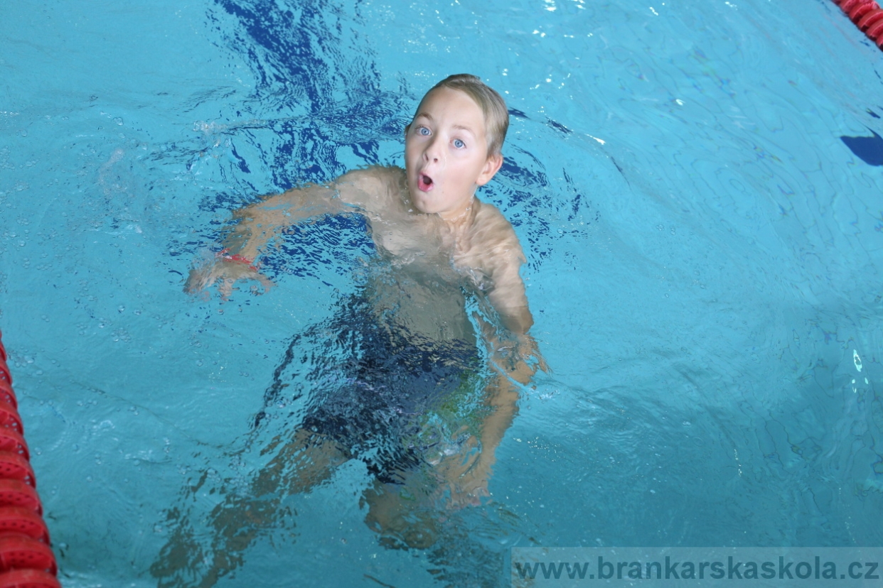 BFŠJCH - Léto 2017 - Neděle 6.8.2017