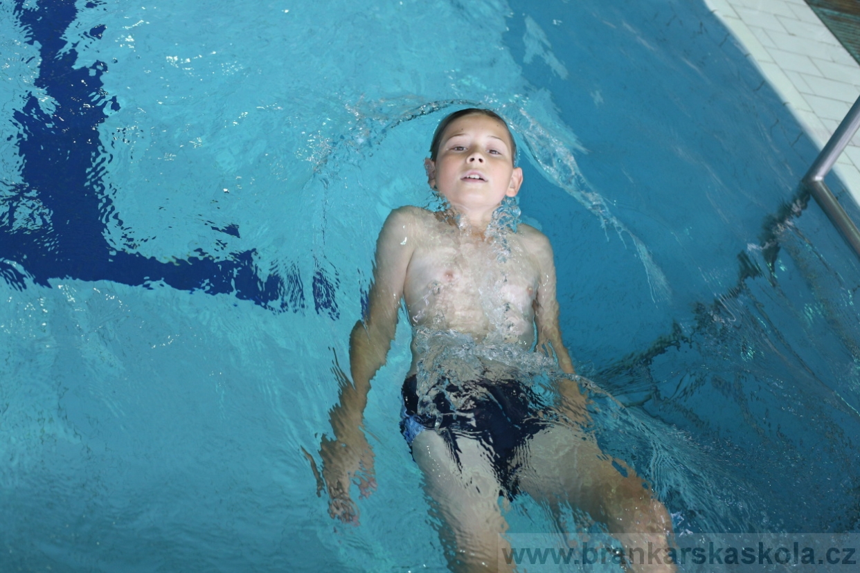 BFŠJCH - Léto 2017 - Neděle 6.8.2017