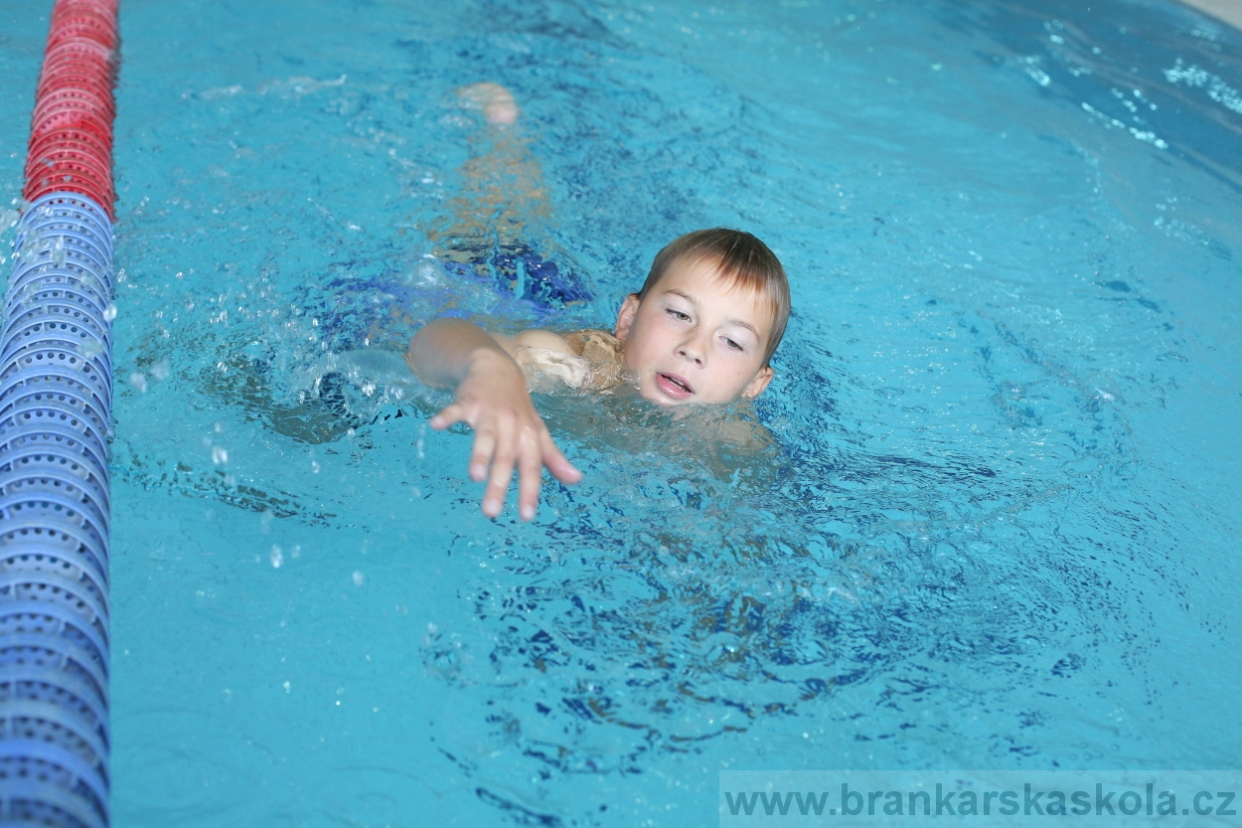BFŠJCH - Léto 2017 - Neděle 6.8.2017
