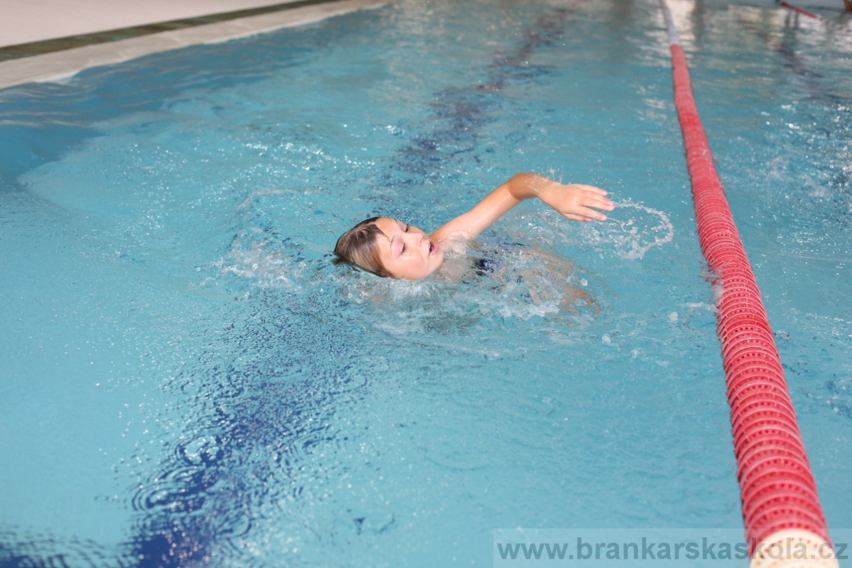 BFŠJCH - Léto 2017 - Neděle 6.8.2017