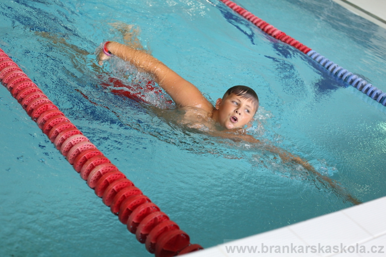 BFŠJCH - Léto 2017 - Neděle 6.8.2017