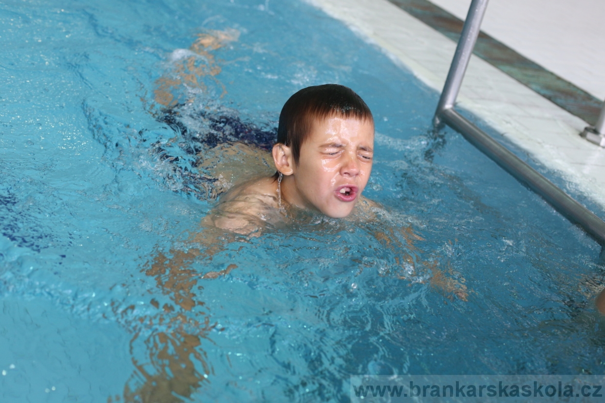 BFŠJCH - Léto 2017 - Neděle 6.8.2017