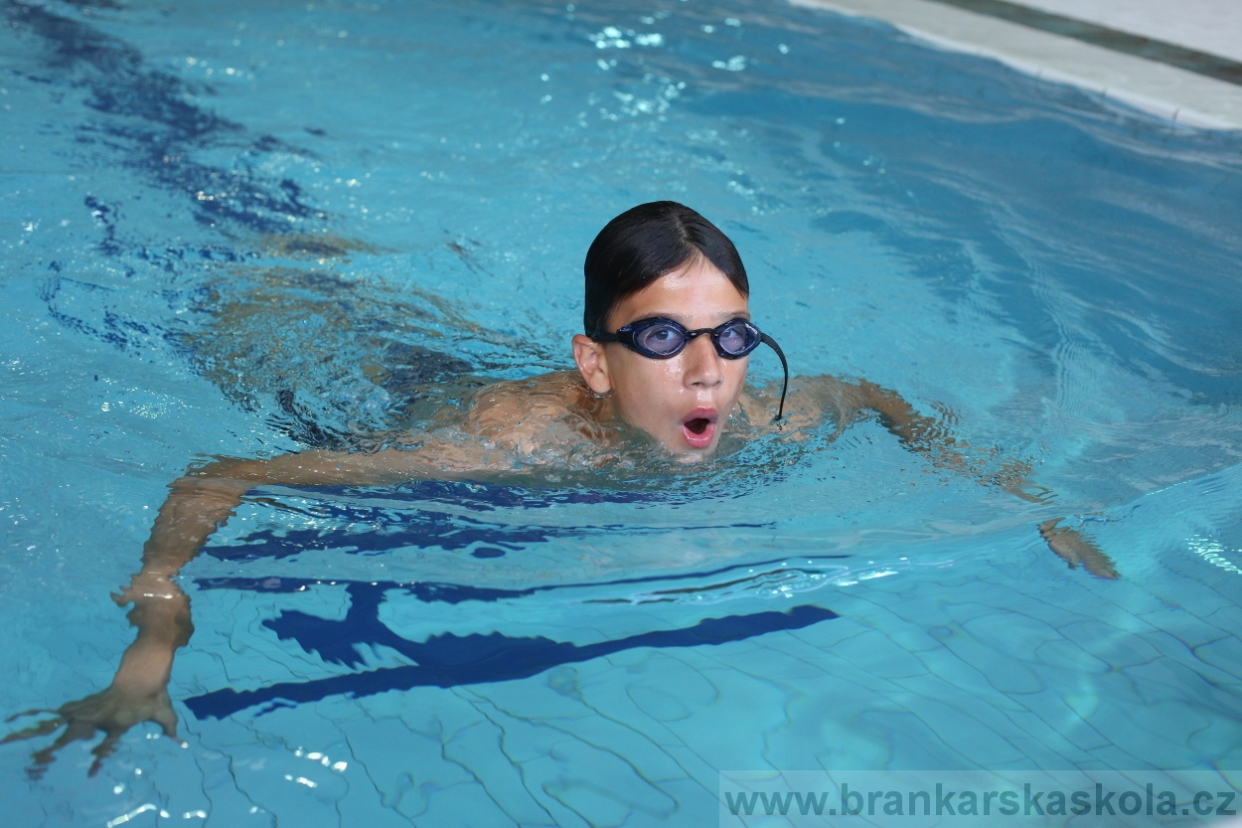 BFŠJCH - Léto 2017 - Neděle 6.8.2017