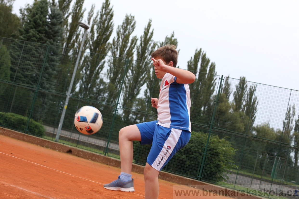 BFŠJCH - Léto 2017 - Neděle 6.8.2017