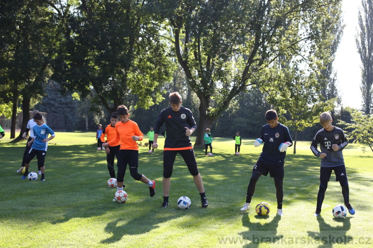 BFŠJCH - Léto 2017 - Pondělí 7.8.2017