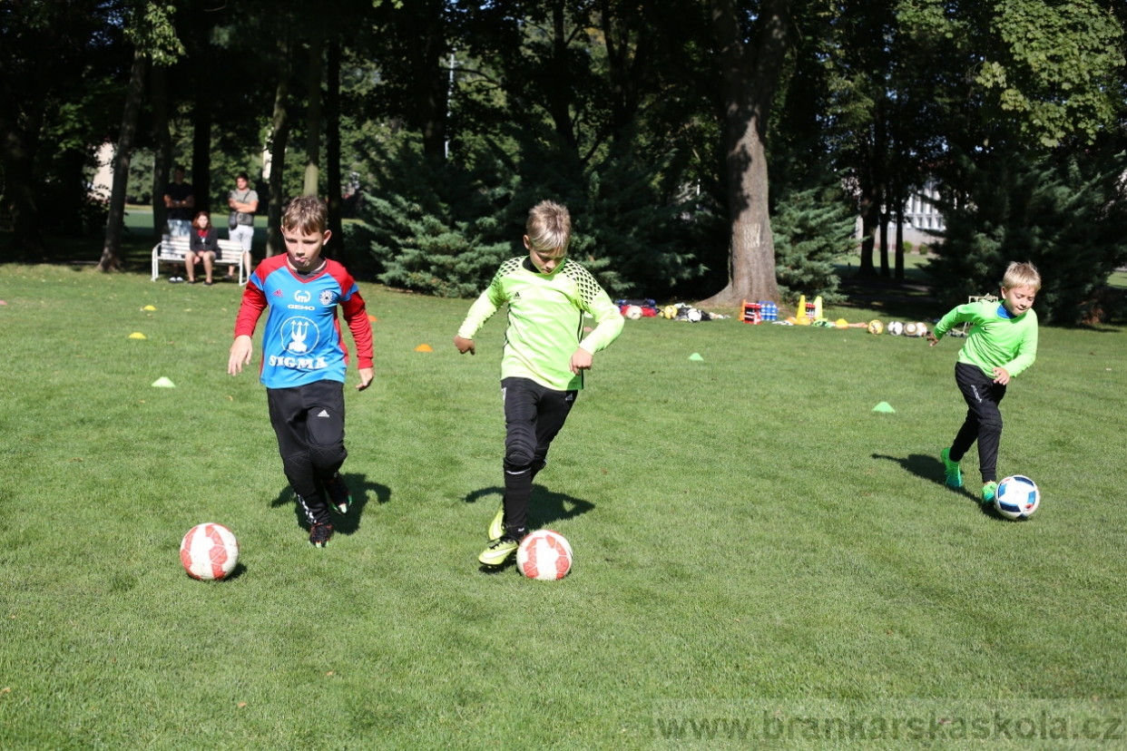 BFŠJCH - Léto 2017 - Pondělí 7.8.2017