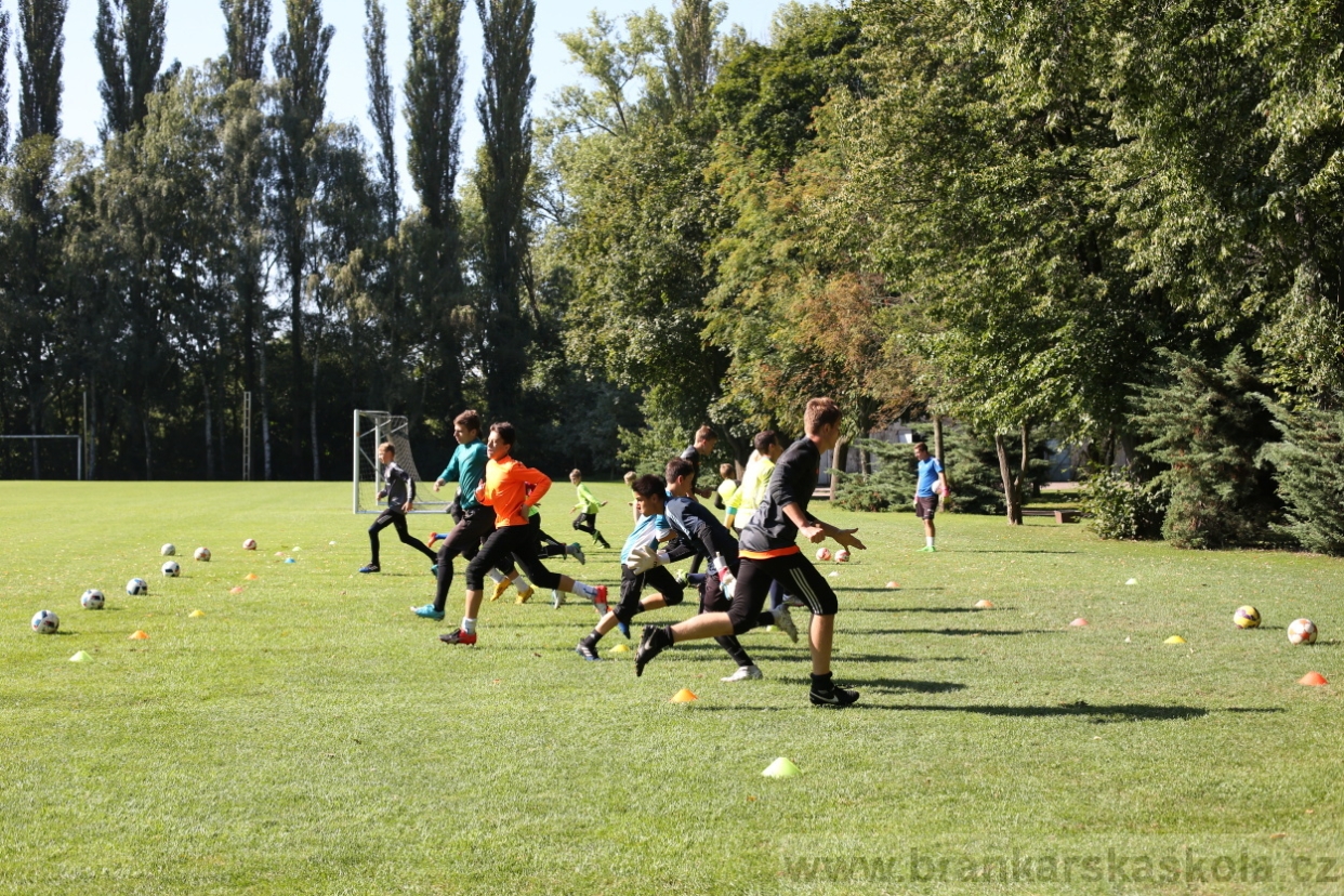 BFŠJCH - Léto 2017 - Pondělí 7.8.2017