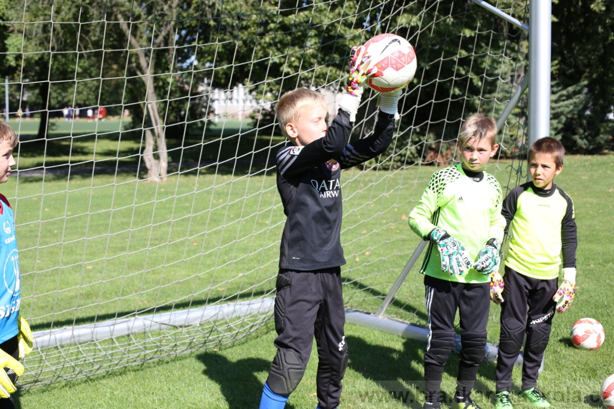 BFŠJCH - Léto 2017 - Pondělí 7.8.2017