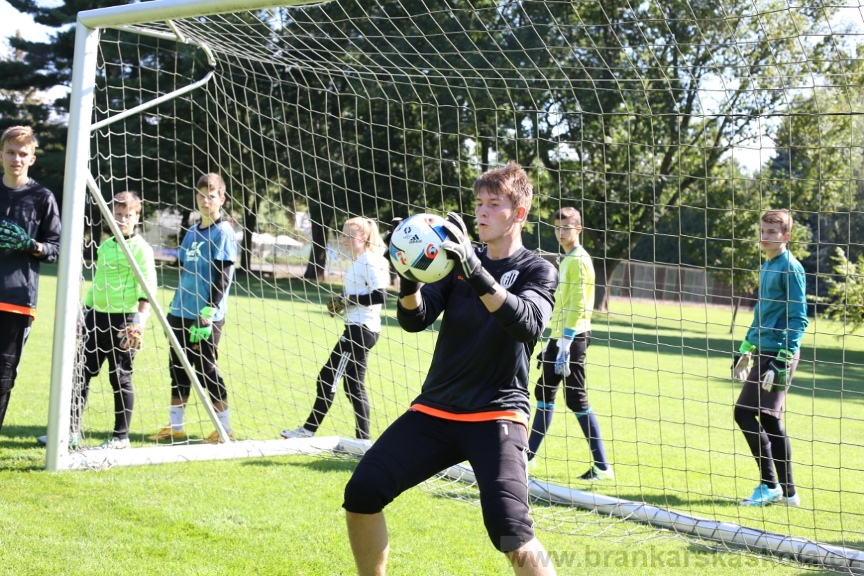 BFŠJCH - Léto 2017 - Pondělí 7.8.2017