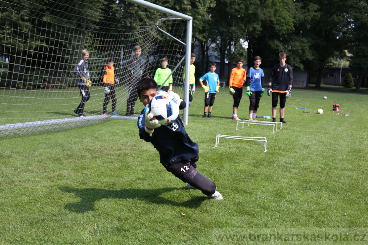 BFŠJCH - Léto 2017 - Pondělí 7.8.2017