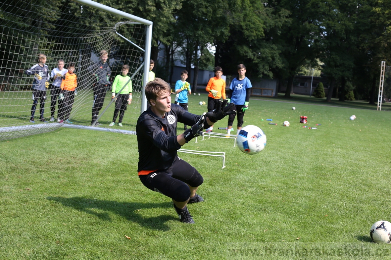 BFŠJCH - Léto 2017 - Pondělí 7.8.2017