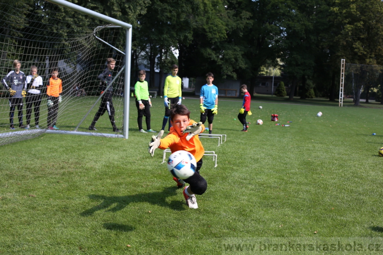 BFŠJCH - Léto 2017 - Pondělí 7.8.2017