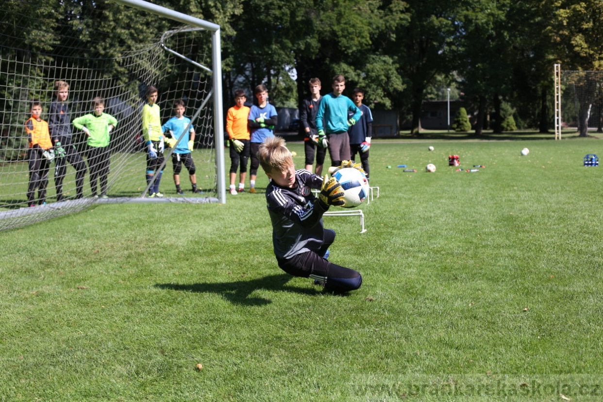 BFŠJCH - Léto 2017 - Pondělí 7.8.2017