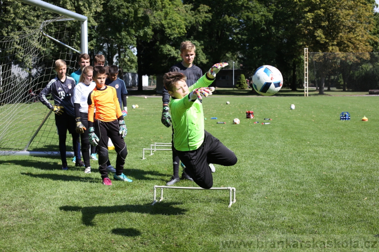 BFŠJCH - Léto 2017 - Pondělí 7.8.2017