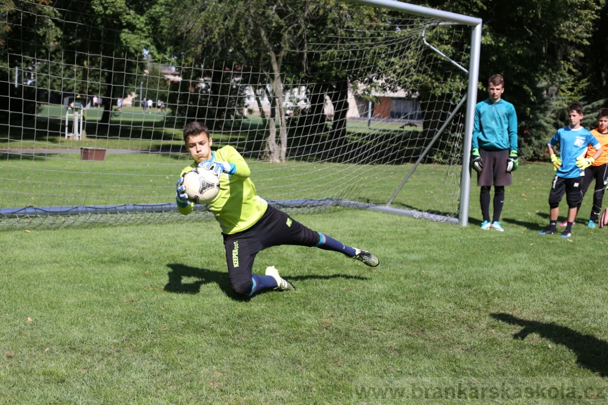 BFŠJCH - Léto 2017 - Pondělí 7.8.2017