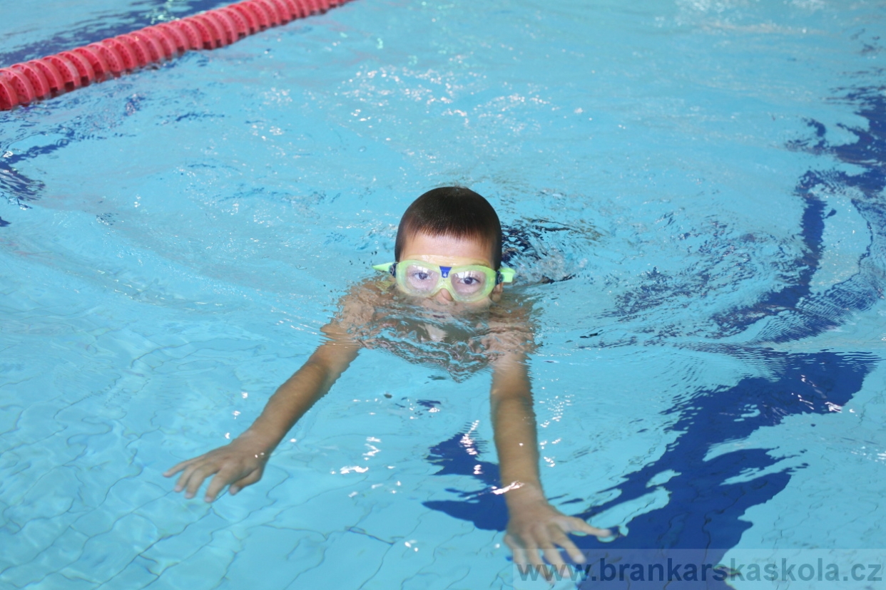 BFŠJCH - Léto 2017 - Pondělí 7.8.2017