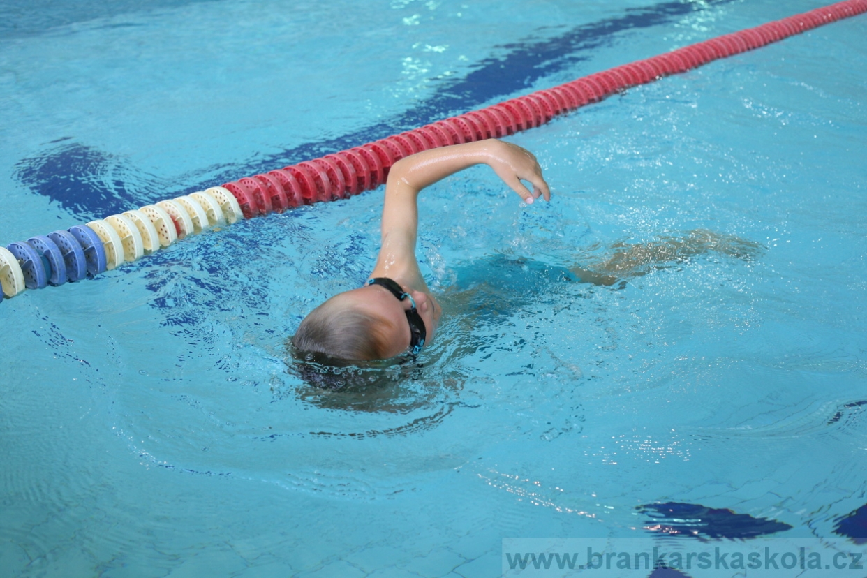 BFŠJCH - Léto 2017 - Pondělí 7.8.2017