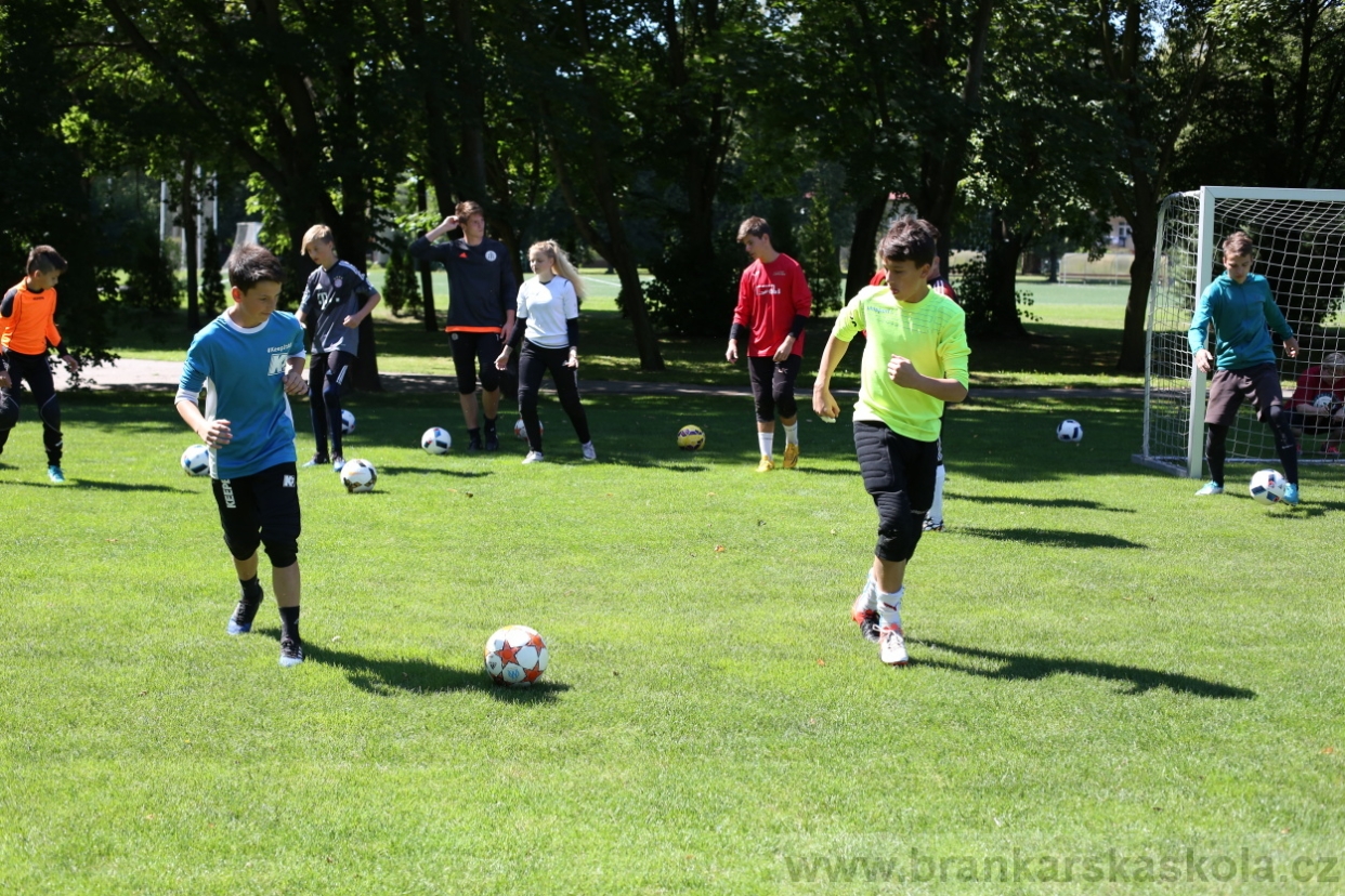 BFŠJCH - Léto 2017 - Pondělí 7.8.2017
