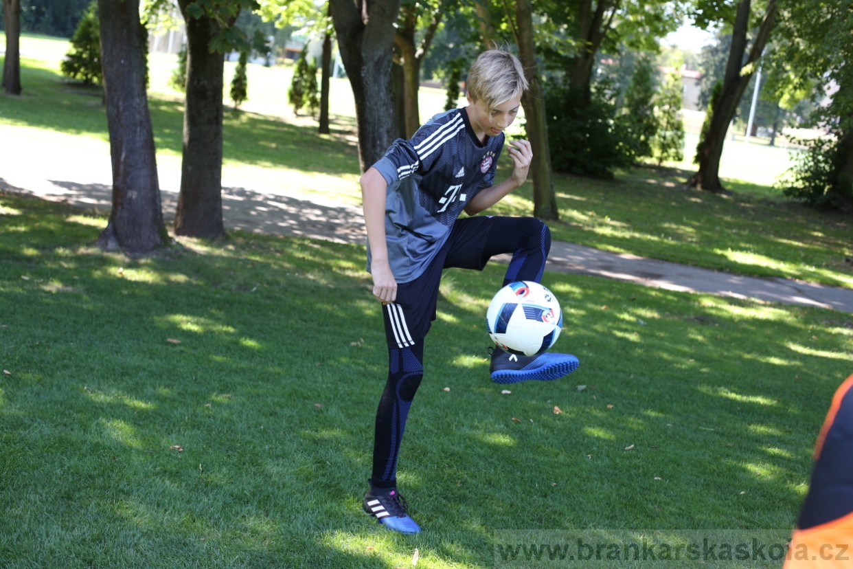 BFŠJCH - Léto 2017 - Pondělí 7.8.2017