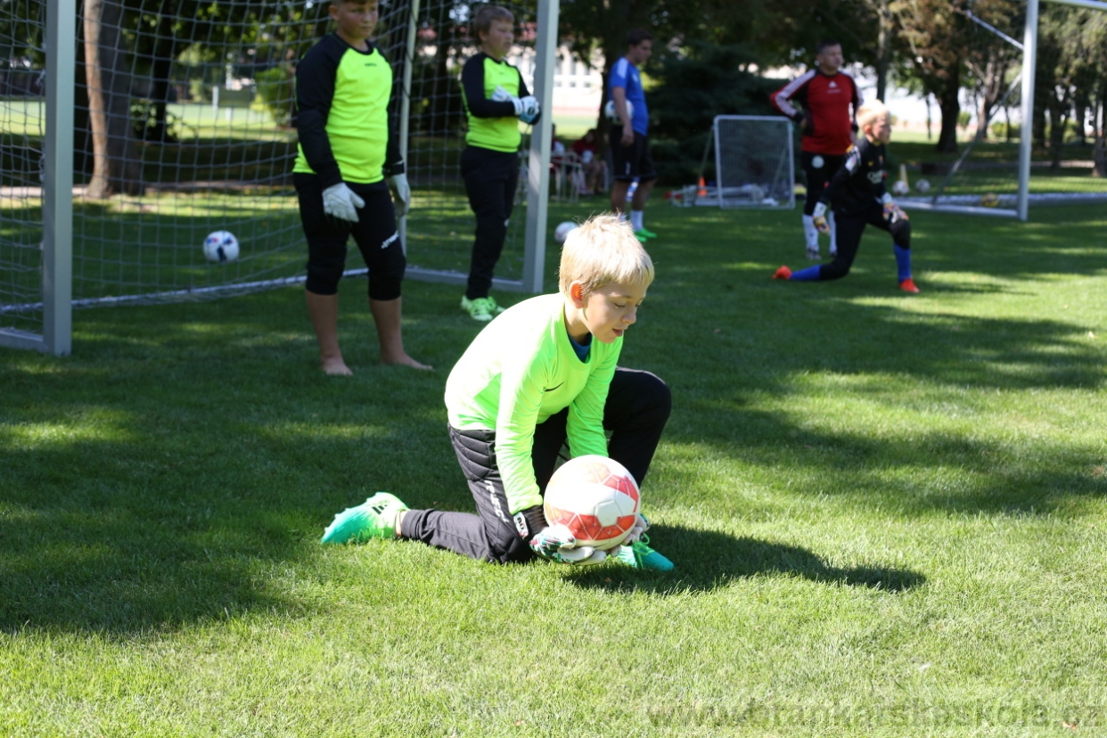 BFŠJCH - Léto 2017 - Pondělí 7.8.2017
