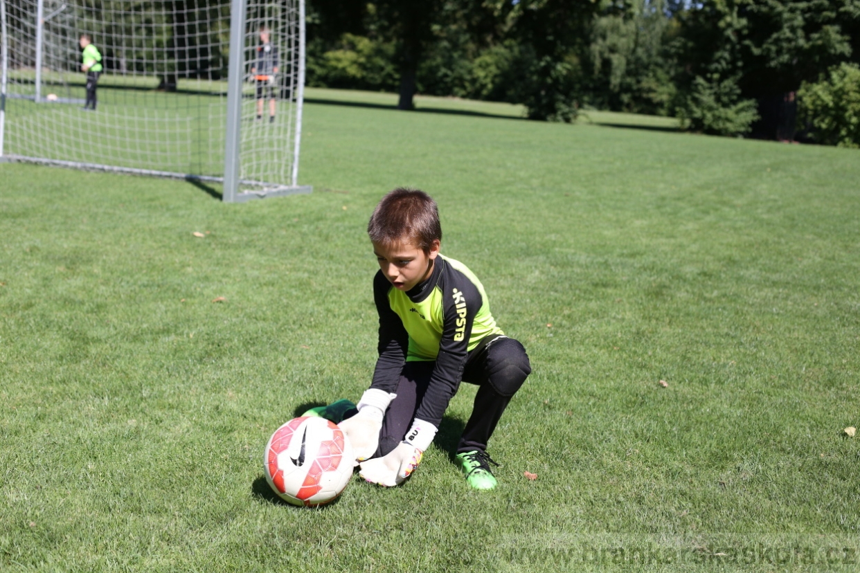 BFŠJCH - Léto 2017 - Pondělí 7.8.2017