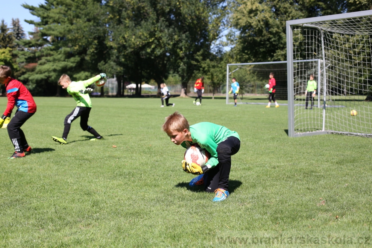 BFŠJCH - Léto 2017 - Pondělí 7.8.2017