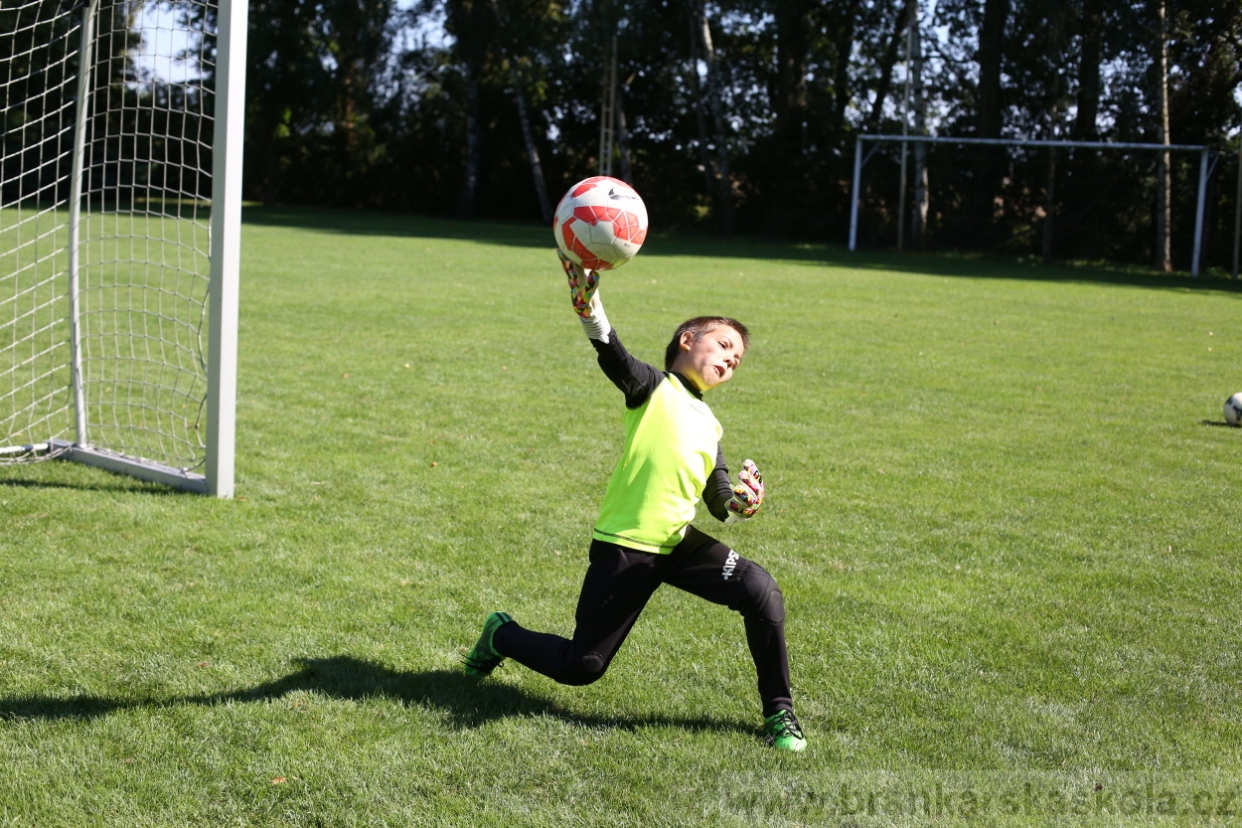 BFŠJCH - Léto 2017 - Pondělí 7.8.2017