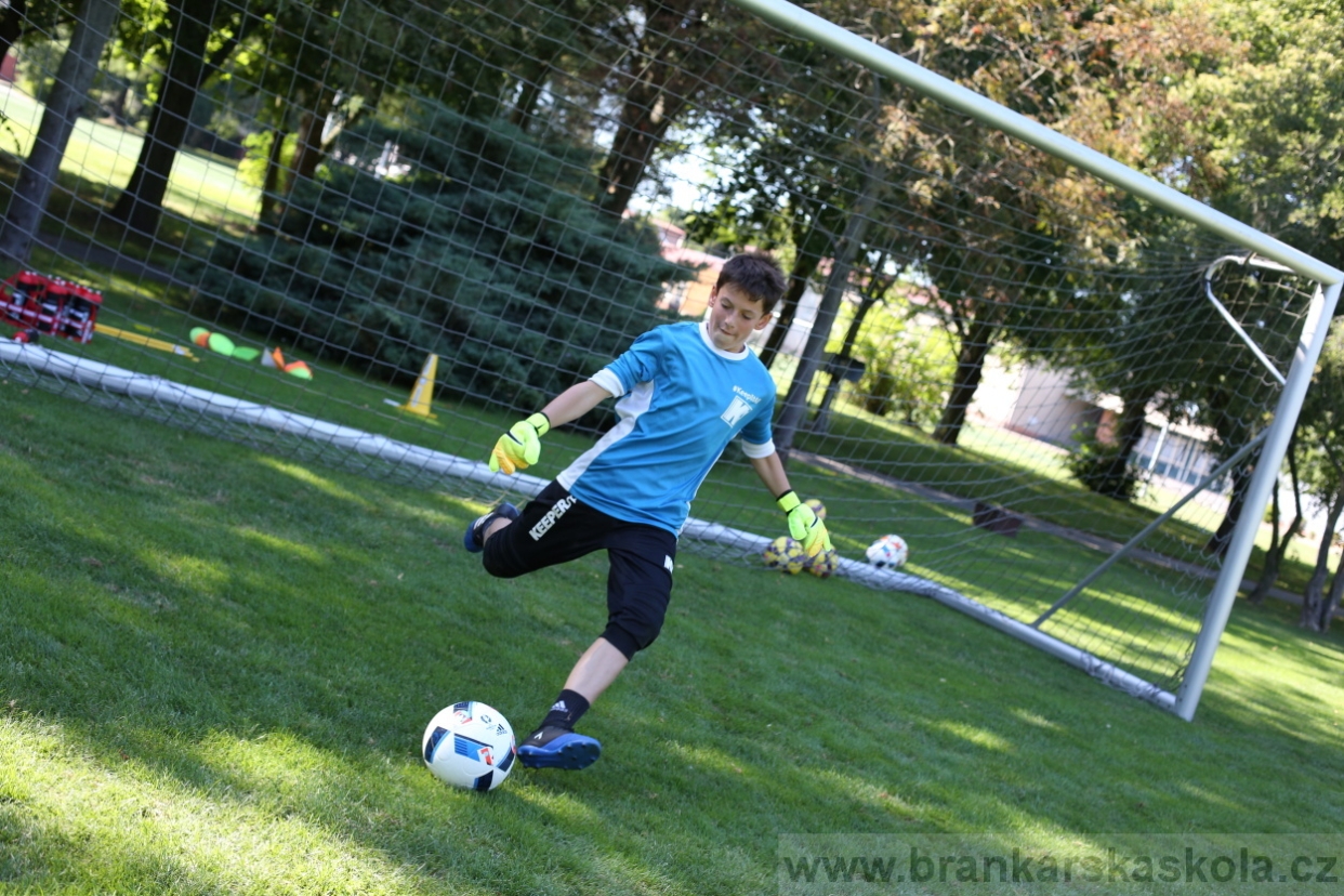 BFŠJCH - Léto 2017 - Pondělí 7.8.2017