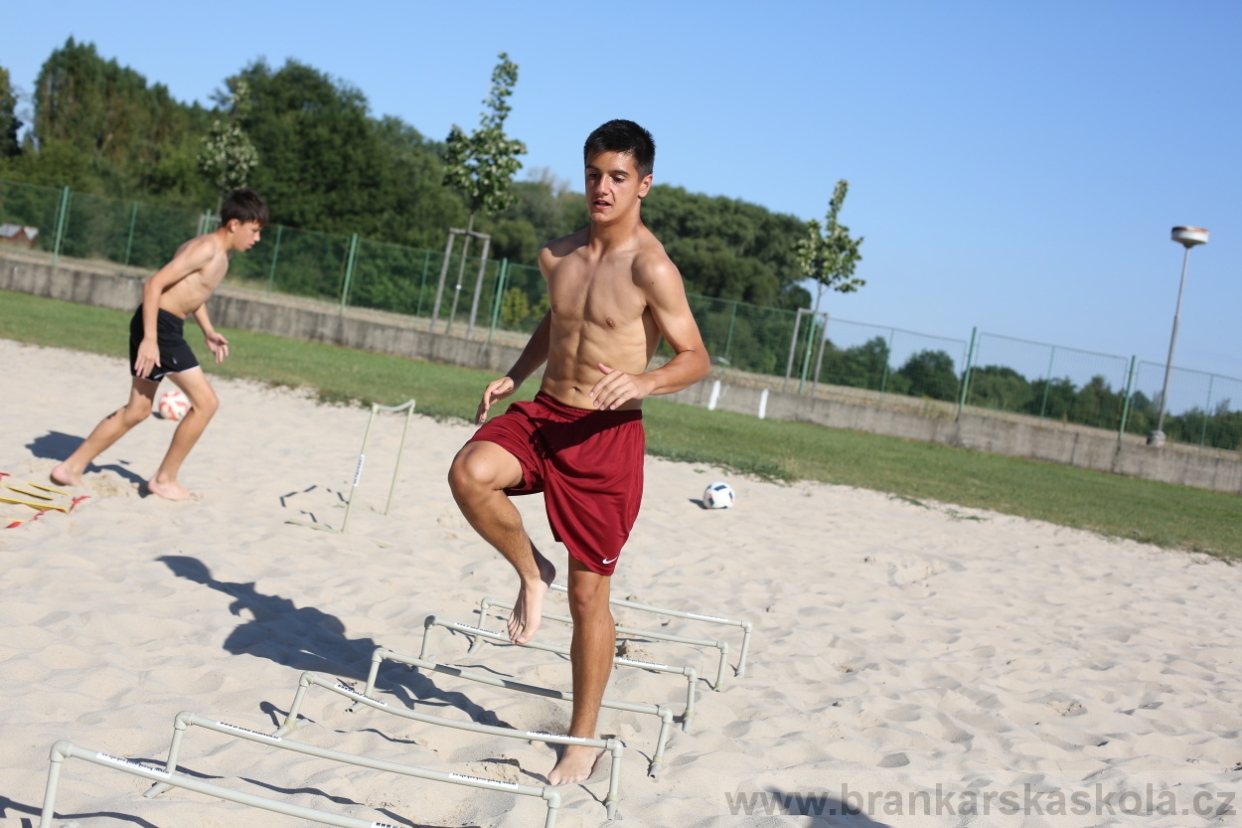 BFŠJCH - Léto 2017 - Pondělí 7.8.2017