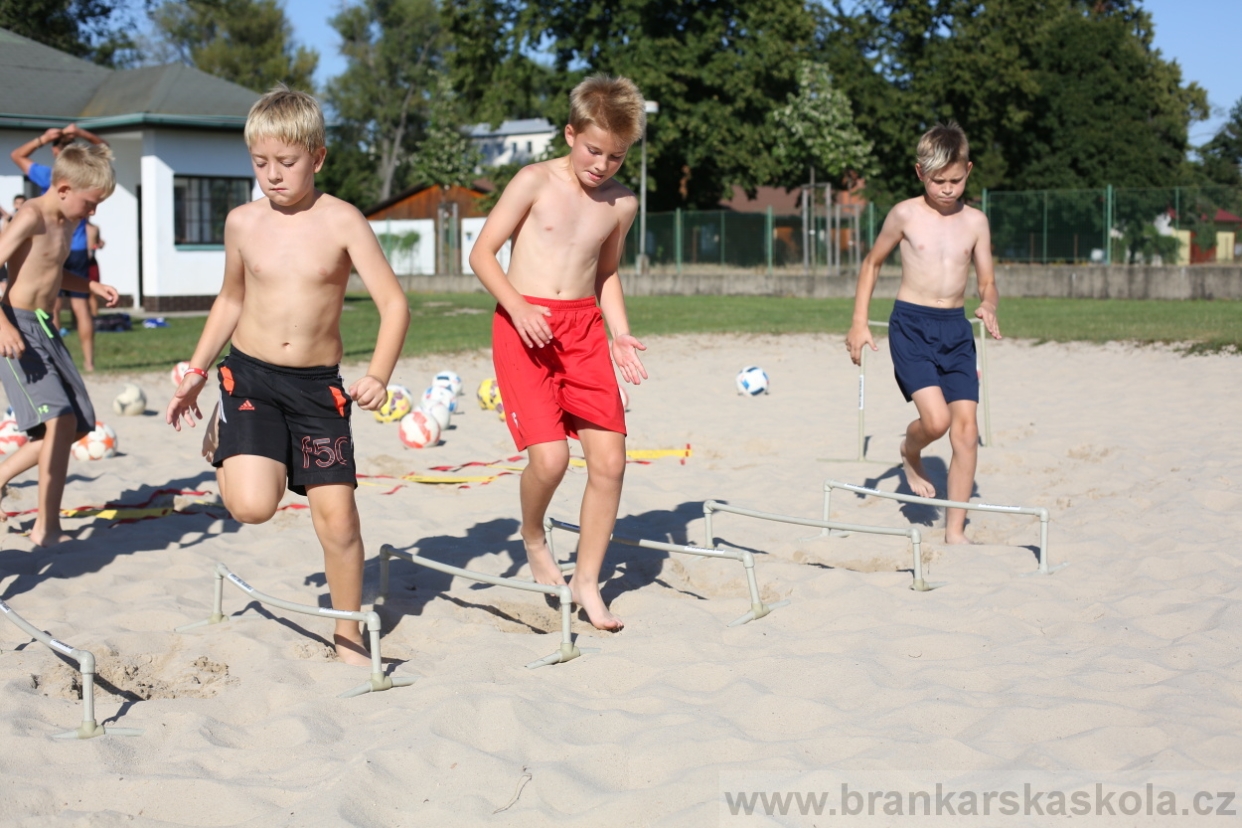 BFŠJCH - Léto 2017 - Pondělí 7.8.2017