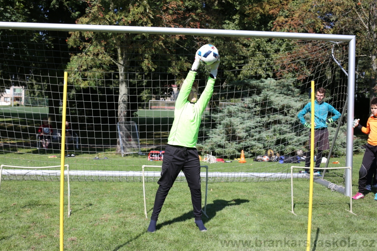 BFŠJCH - Léto 2017 - Úterý 8.8.2017