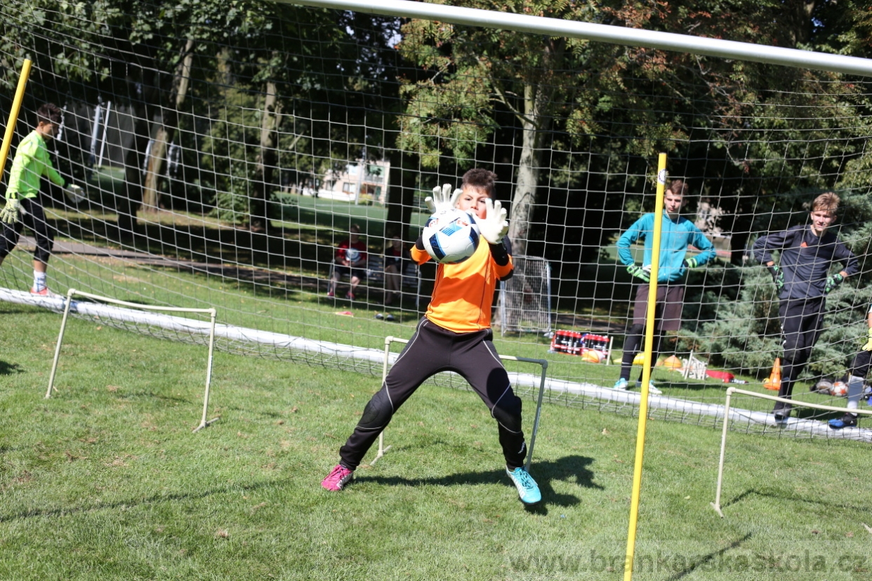 BFŠJCH - Léto 2017 - Úterý 8.8.2017