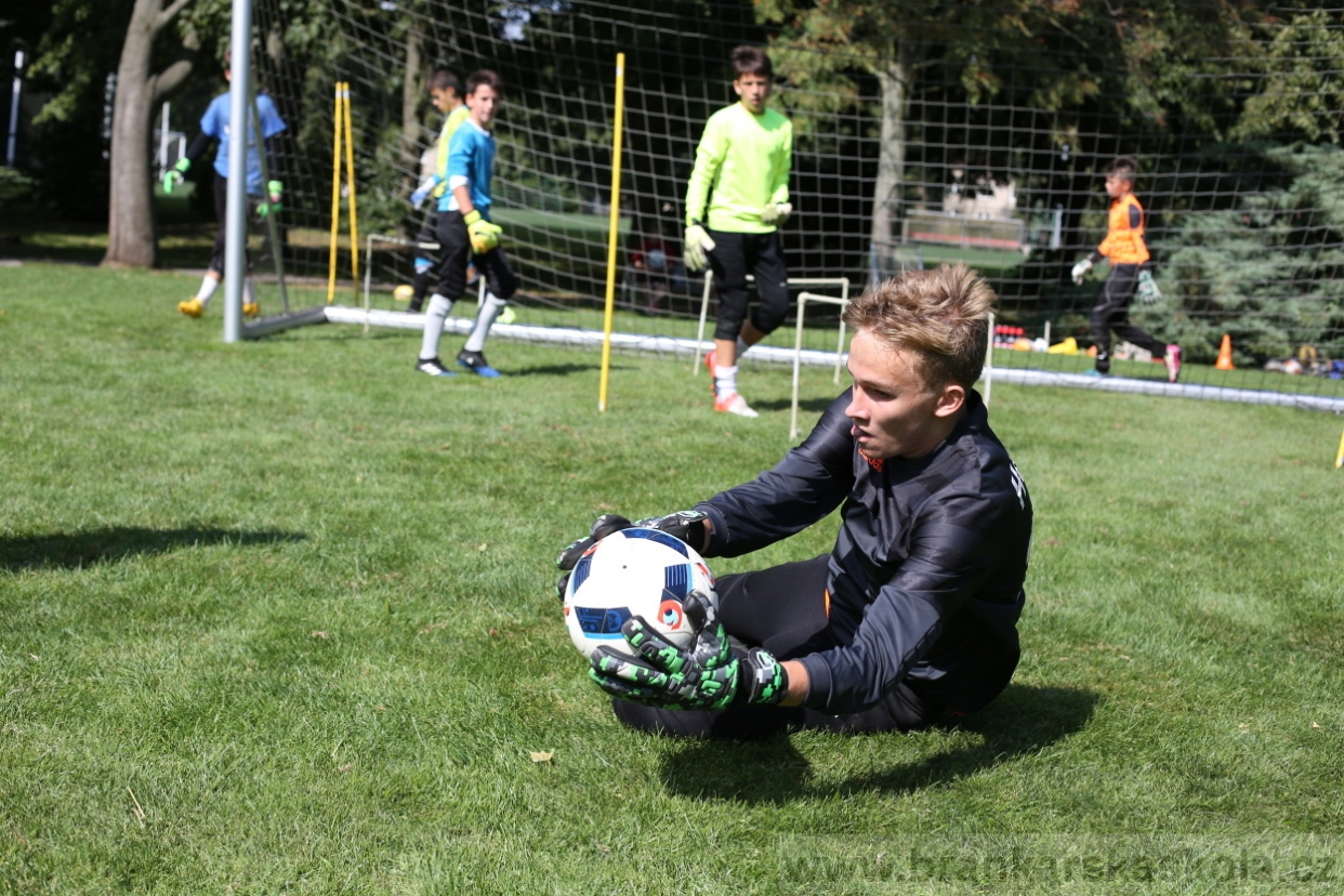 BFŠJCH - Léto 2017 - Úterý 8.8.2017
