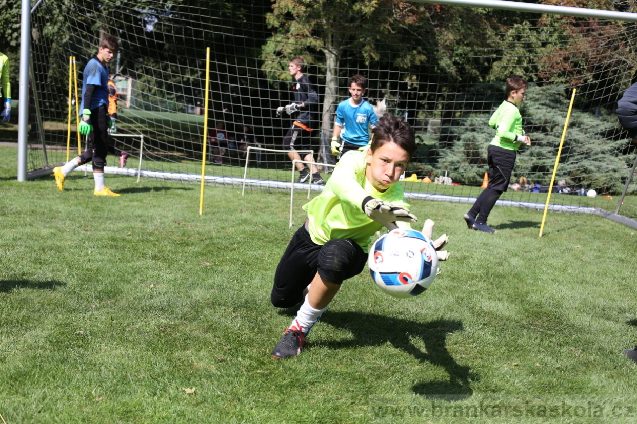 BFŠJCH - Léto 2017 - Úterý 8.8.2017