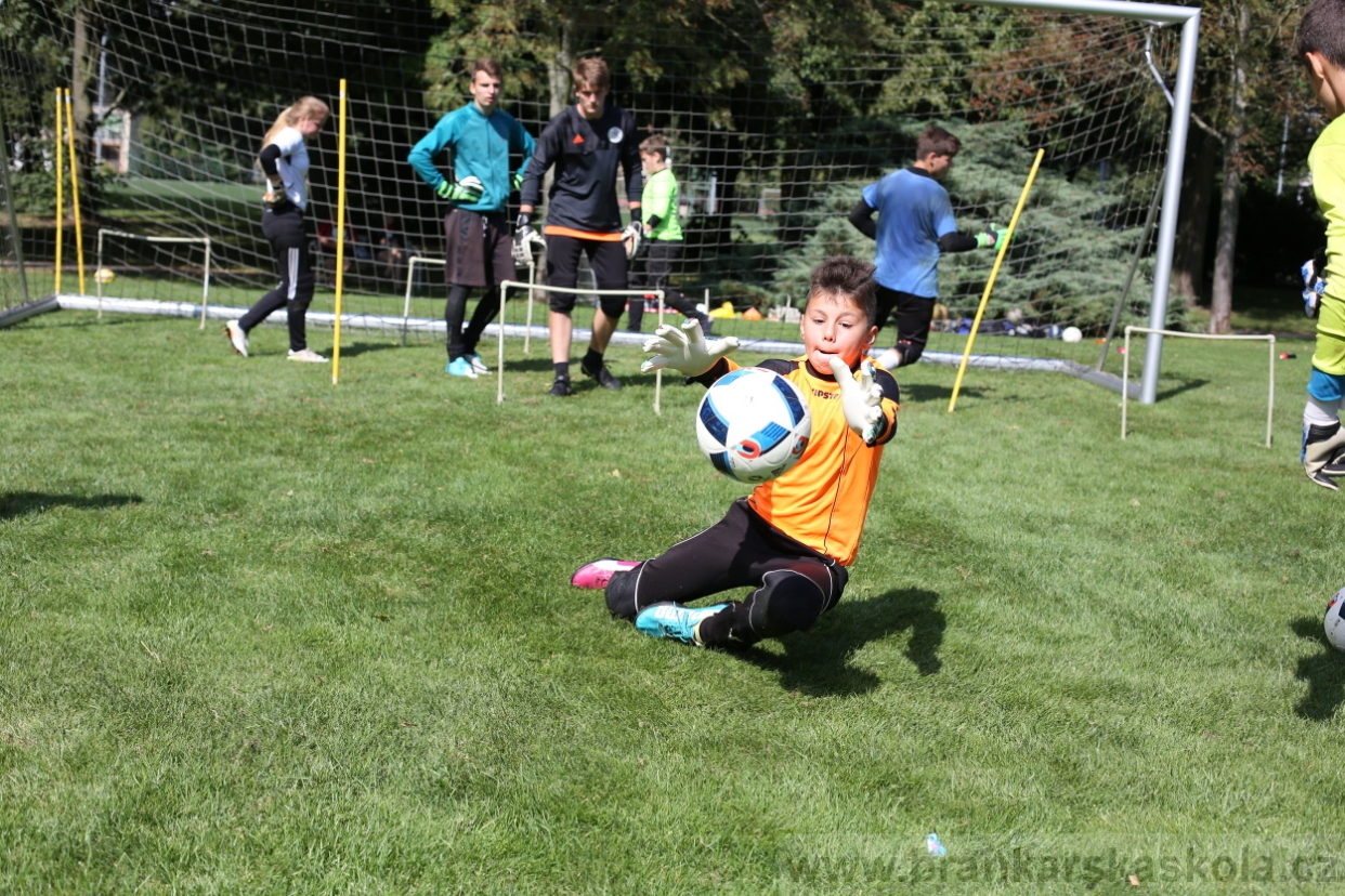 BFŠJCH - Léto 2017 - Úterý 8.8.2017