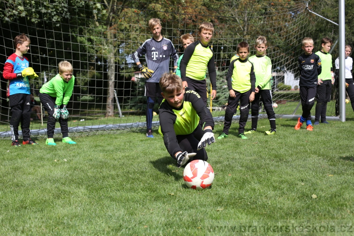 BFŠJCH - Léto 2017 - Úterý 8.8.2017