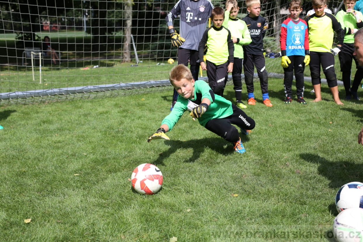 BFŠJCH - Léto 2017 - Úterý 8.8.2017