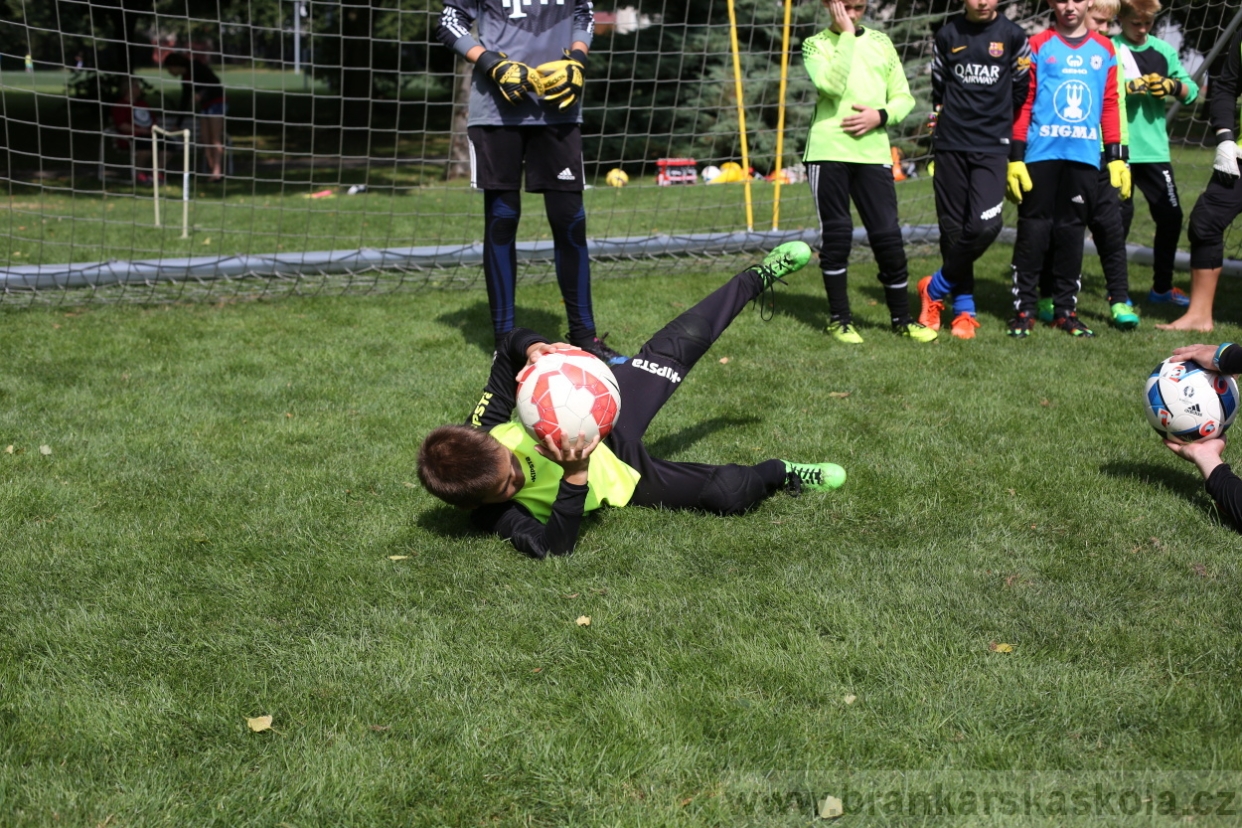 BFŠJCH - Léto 2017 - Úterý 8.8.2017