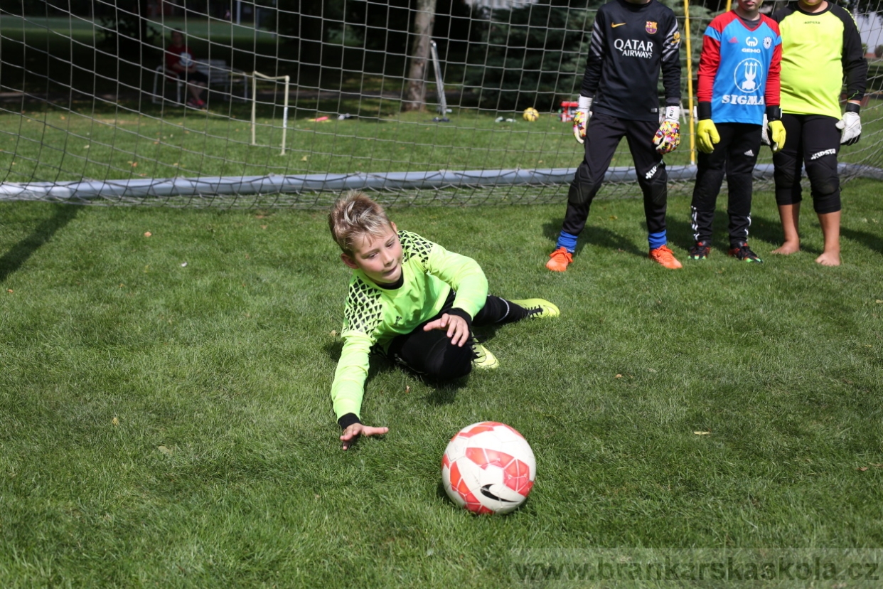 BFŠJCH - Léto 2017 - Úterý 8.8.2017