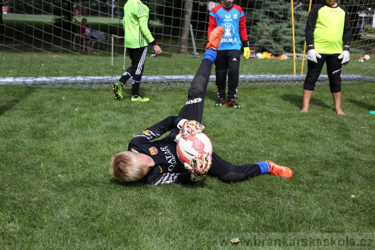 BFŠJCH - Léto 2017 - Úterý 8.8.2017