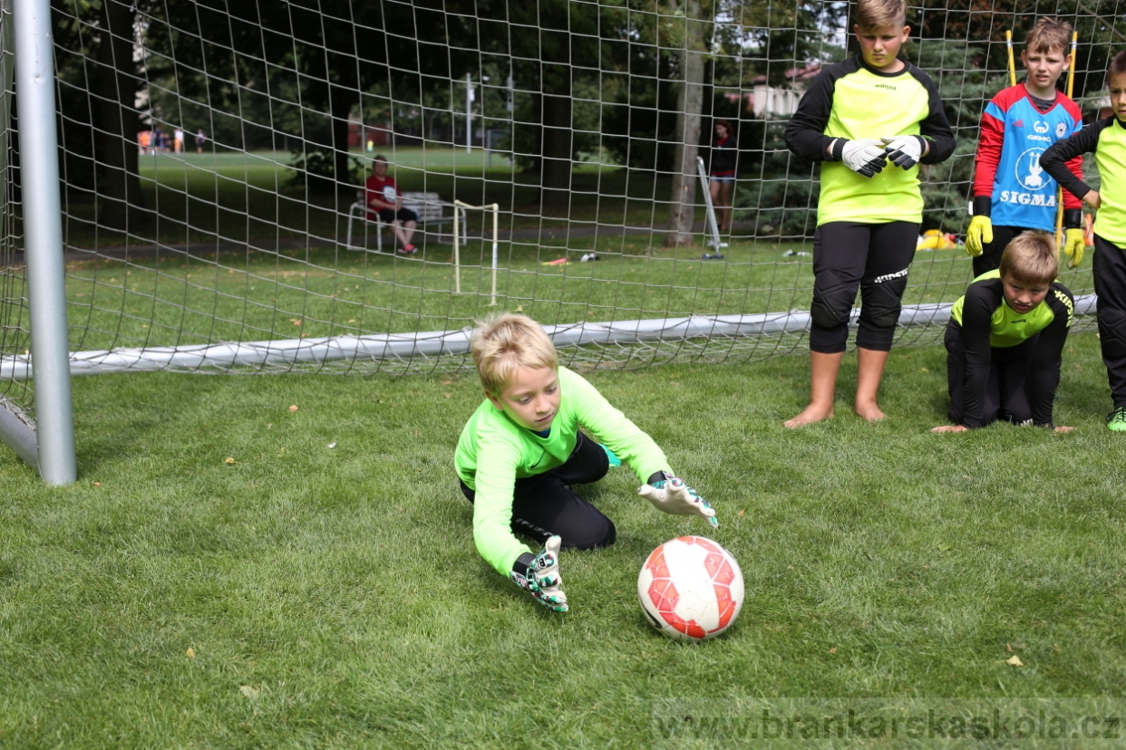 BFŠJCH - Léto 2017 - Úterý 8.8.2017