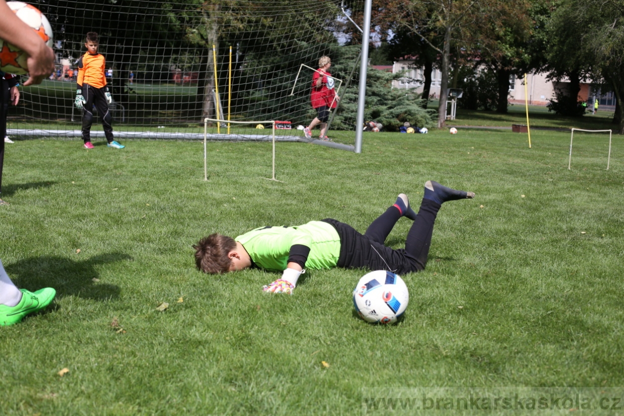 BFŠJCH - Léto 2017 - Úterý 8.8.2017