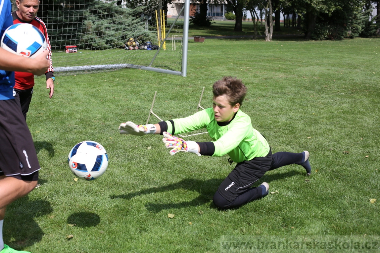 BFŠJCH - Léto 2017 - Úterý 8.8.2017