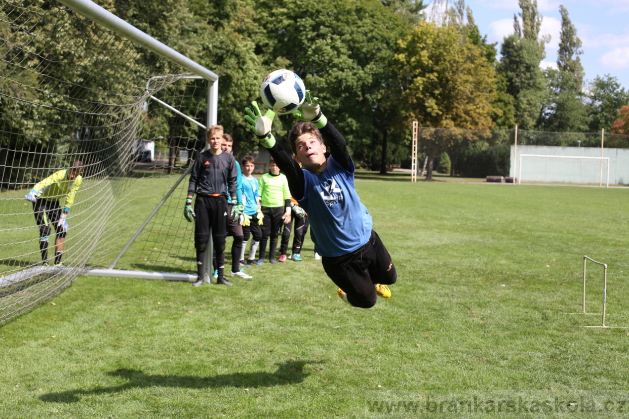 BFŠJCH - Léto 2017 - Úterý 8.8.2017