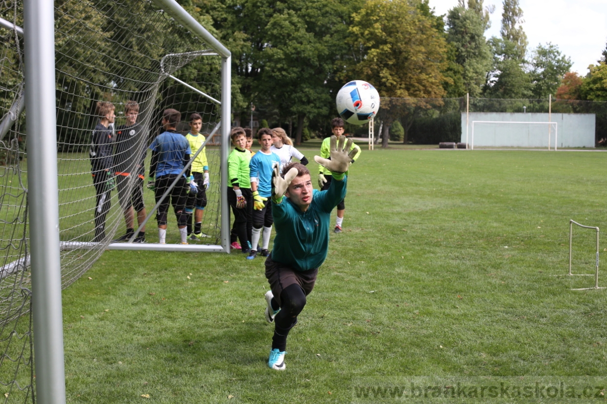 BFŠJCH - Léto 2017 - Úterý 8.8.2017