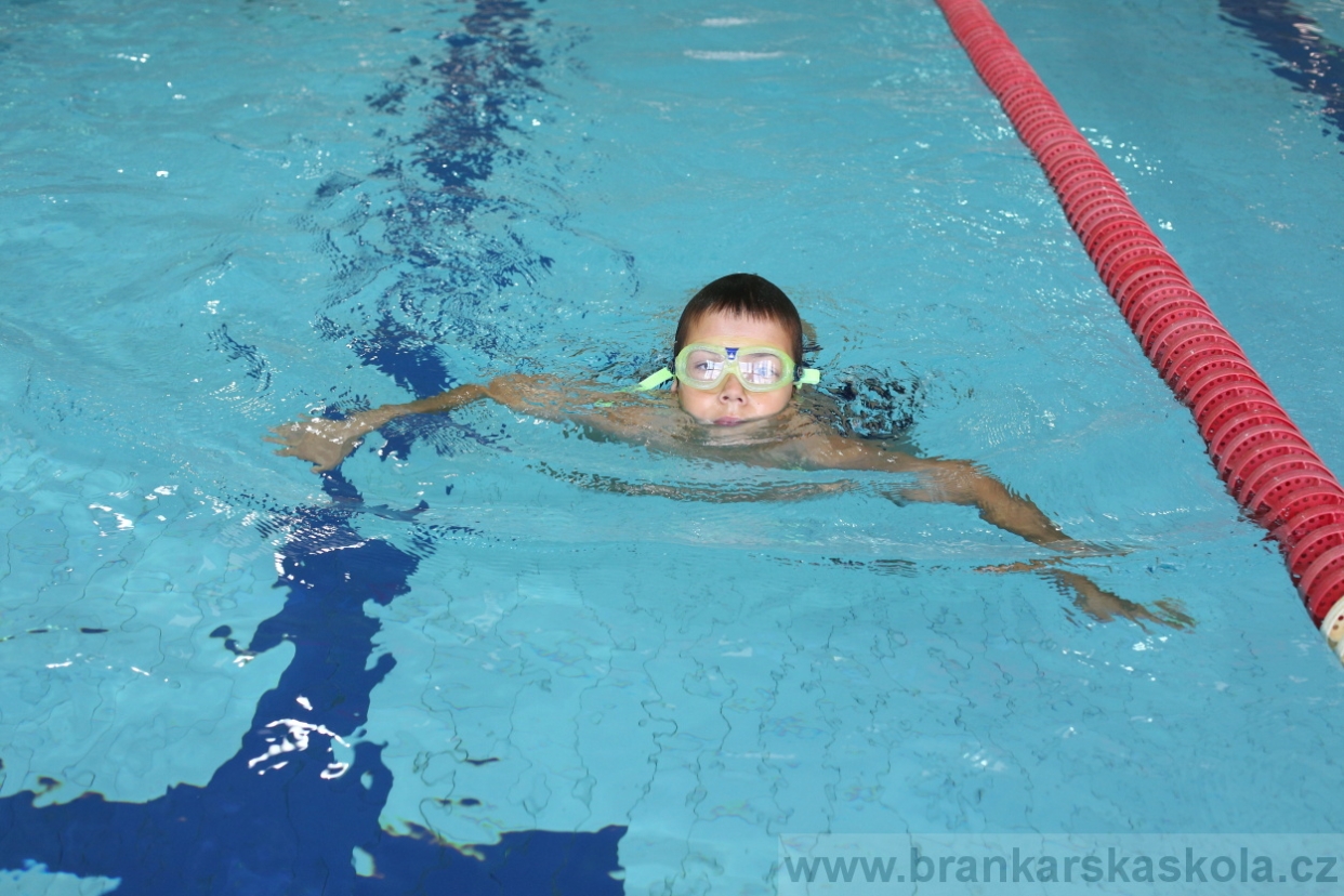 BFŠJCH - Léto 2017 - Úterý 8.8.2017