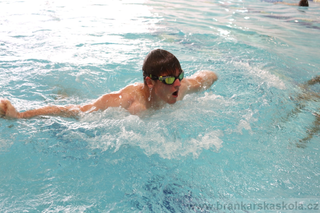 BFŠJCH - Léto 2017 - Úterý 8.8.2017