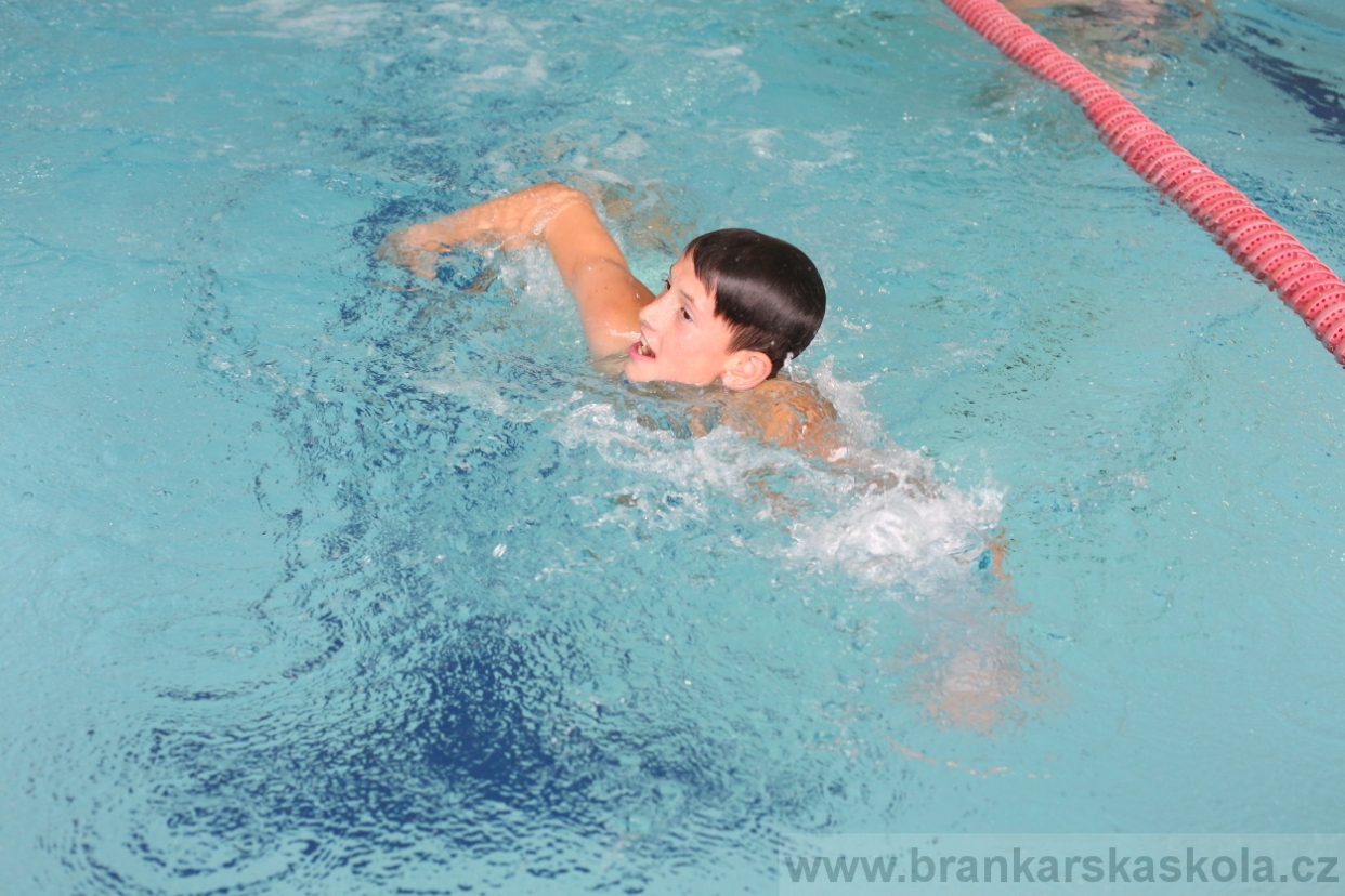 BFŠJCH - Léto 2017 - Úterý 8.8.2017