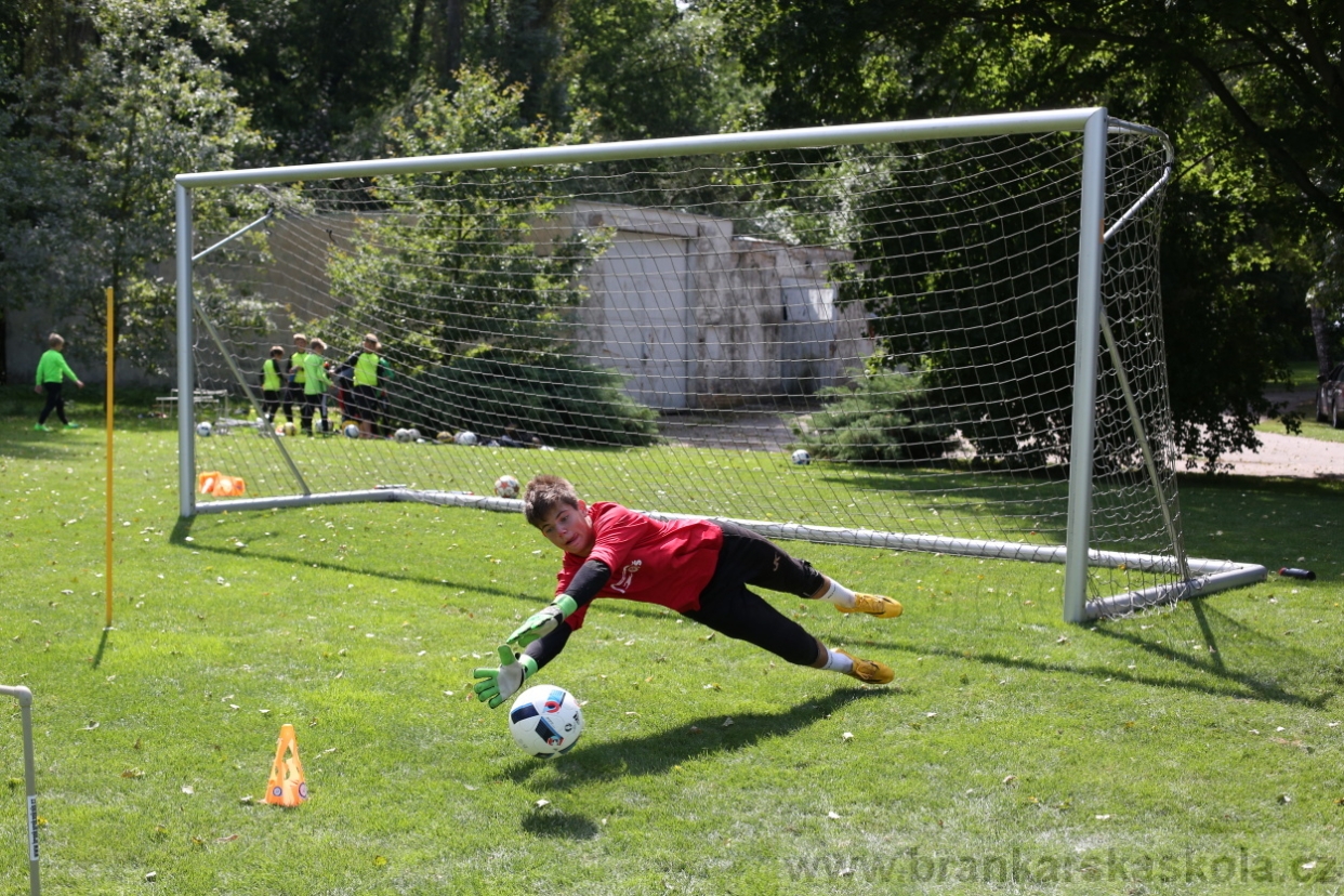 BFŠJCH - Léto 2017 - Úterý 8.8.2017