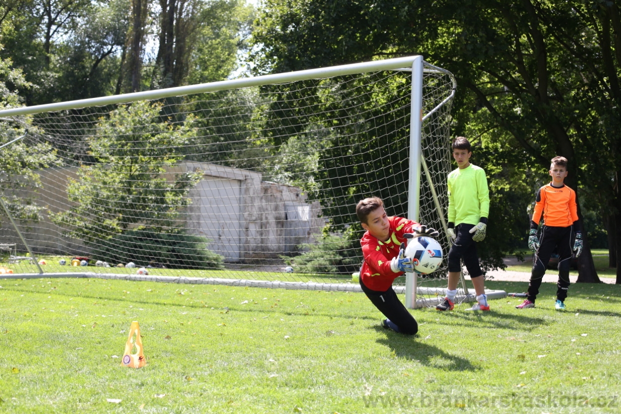 BFŠJCH - Léto 2017 - Úterý 8.8.2017